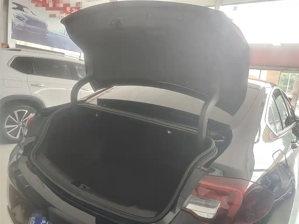 Buick Regal 2024 25T Ultra Comfort Edition фото 19