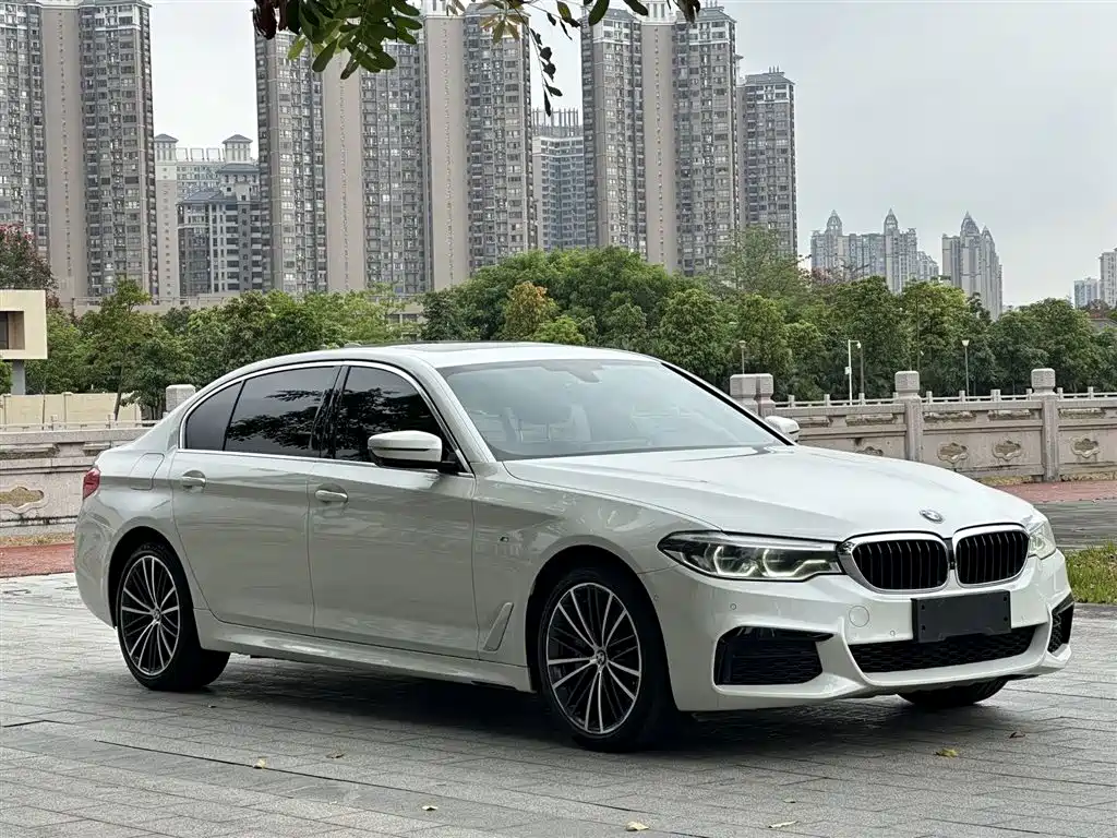 BMW 5 Series 2020 530Li Exclusive M Sport Package фото 3