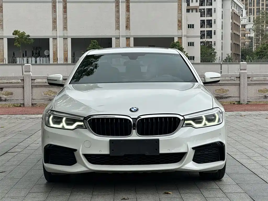 BMW 5 Series 2020 530Li Exclusive M Sport Package фото 2