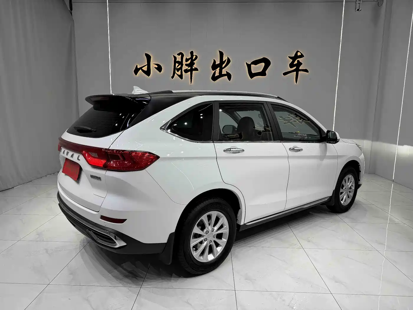 HAVAL M6