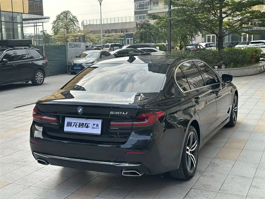 BMW 5 Series 2021 530Li Leading Luxury Package фото 21