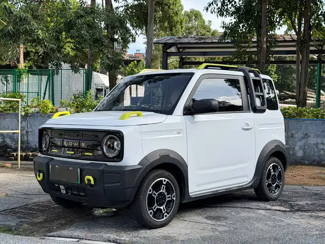 Geely Galaxy Panda 2025 Model Year 210km Panda Knight