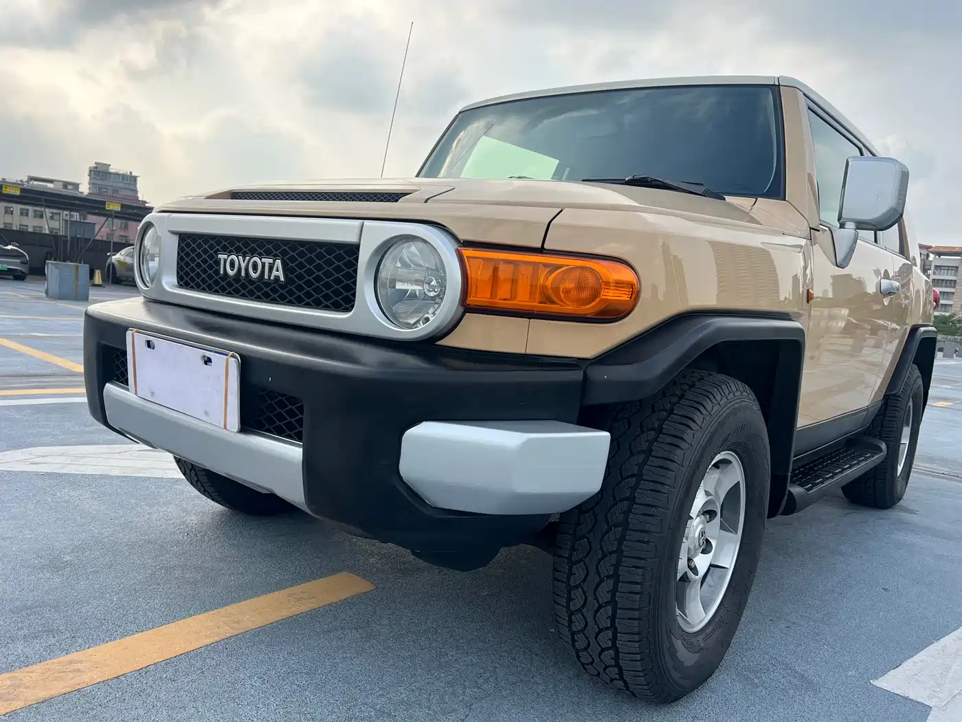 Toyota FJ Cruiser 2007 4.0L фото 14