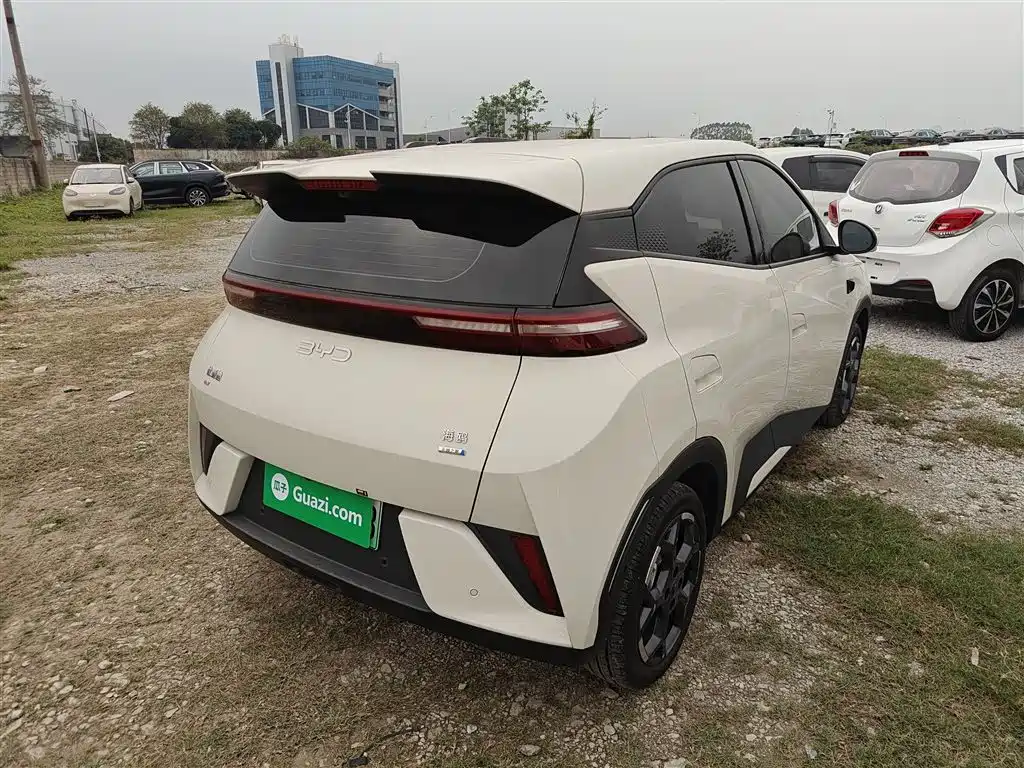 BYD Seagull 2025 Smart Drive Edition 305km Freedom Version фото 5