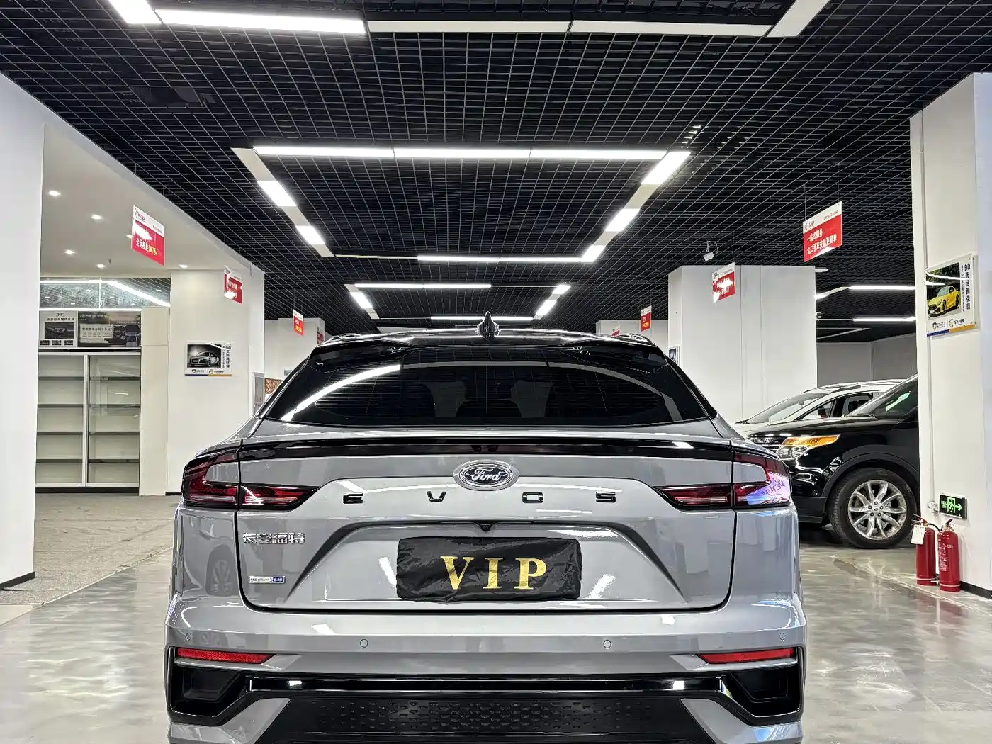 Ford EVOS 2022 EcoBoost 245 ST-Line фото 15