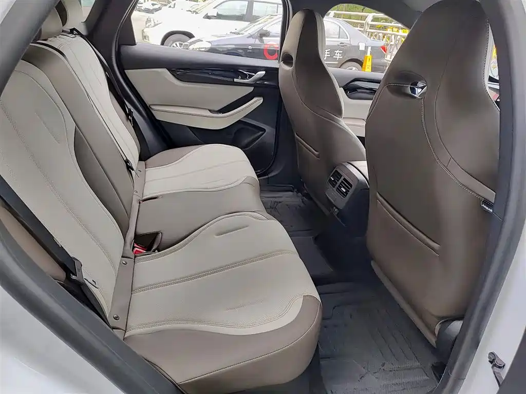BYD Qin PLUS 2024 Glory Edition DM-i 55KM Leading фото 11