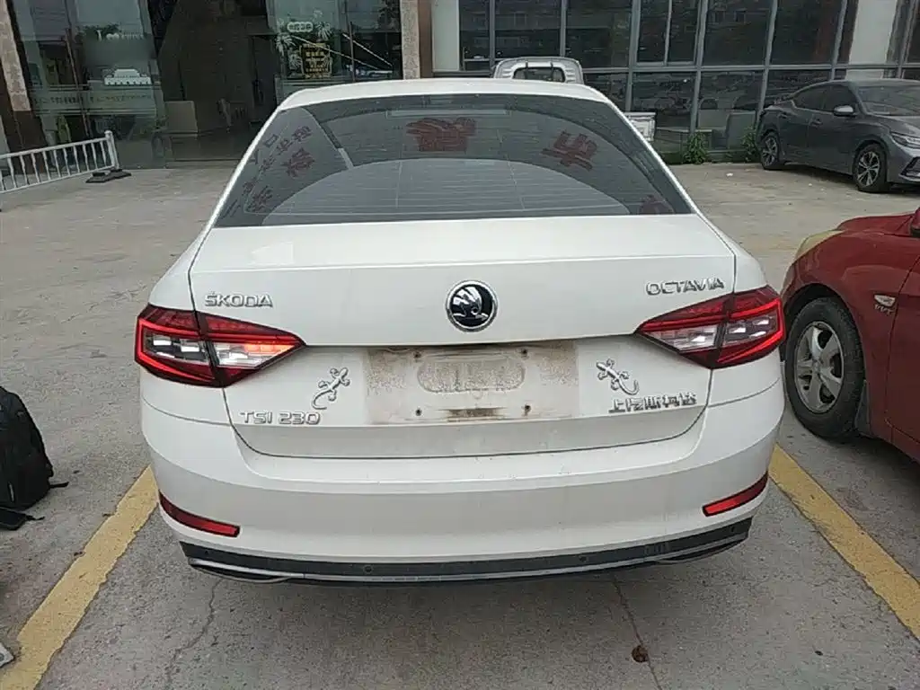 Škoda Octavia 2019 TSI230 DSG Luxury Edition фото 6