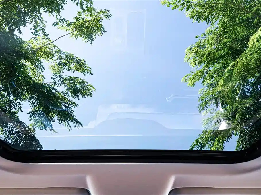 Haval Big Dog 2024 Model 1.5T DCT Labrador Edition фото 18