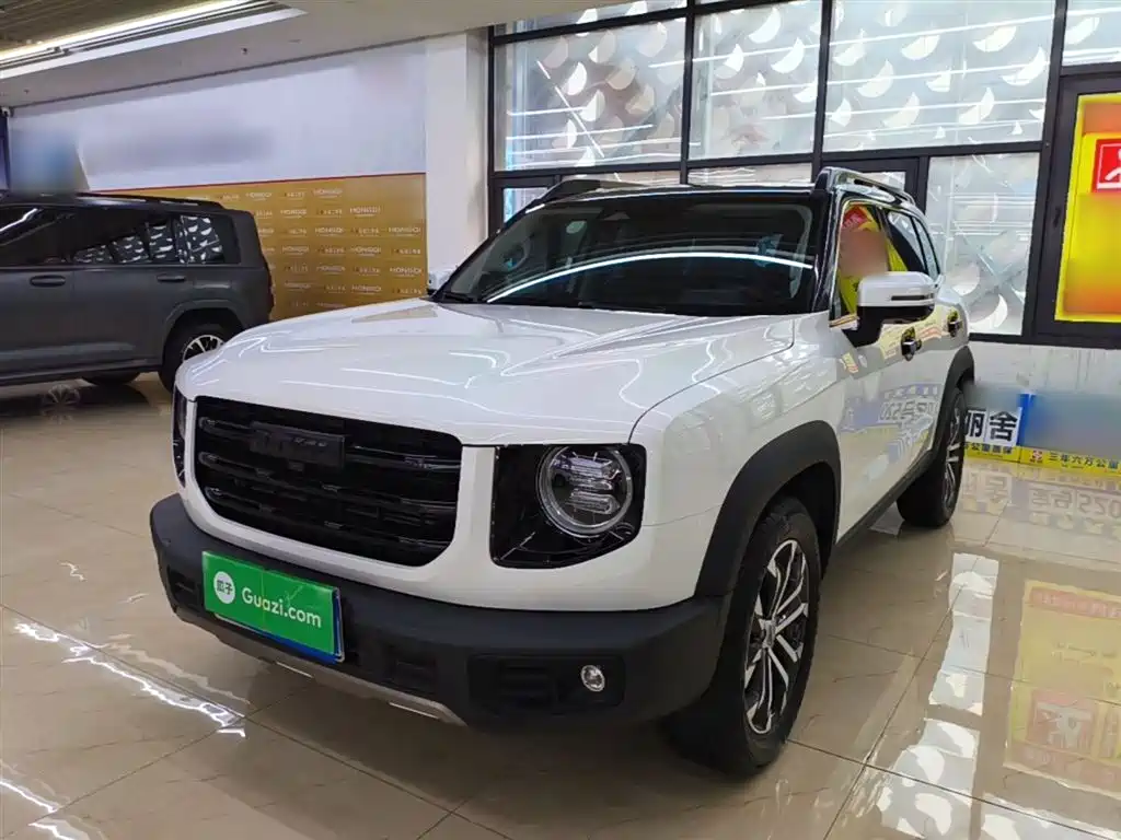 Haval Big Dog 2021 1.5T DCT 2WD Border Collie - Wangcai Edition фото 2