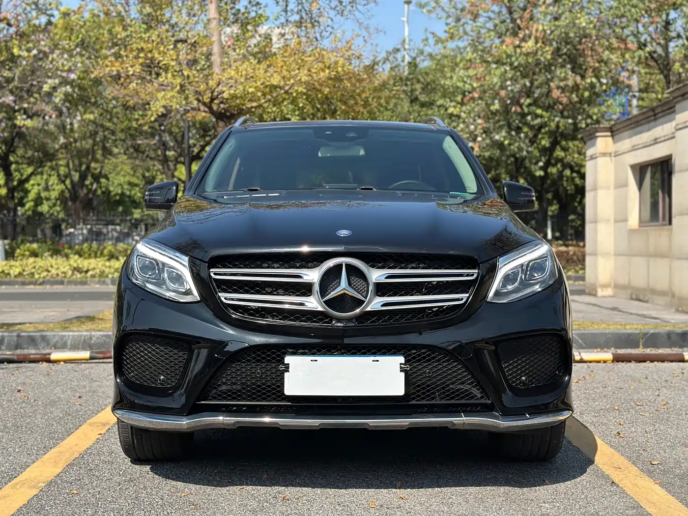 Mercedes-Benz GLE 2017 GLE 320 4MATIC Dynamic фото 2