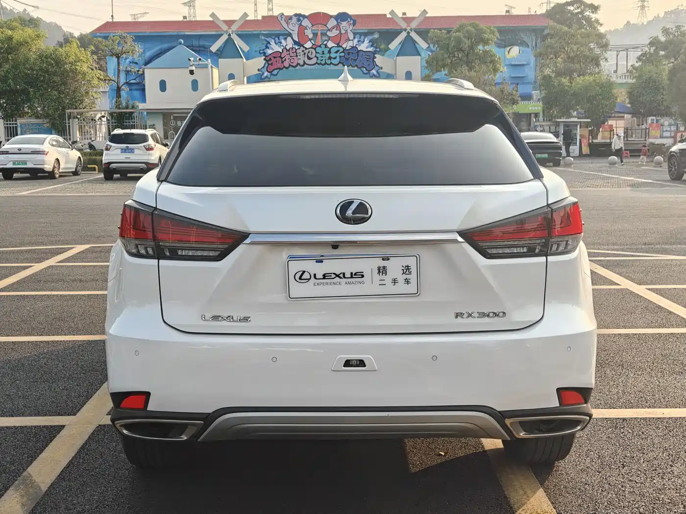 Lexus RX 2020 300 4WD Elegance Edition China VI фото 4