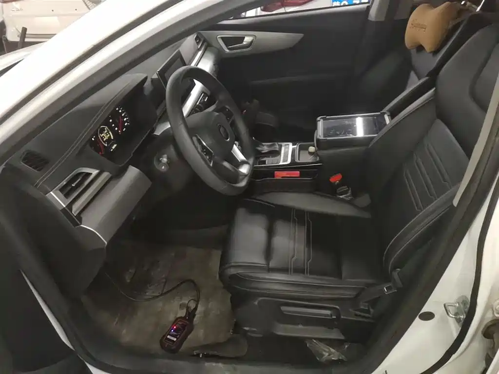 BYD Qin 2019 1.5L Automatic Luxury Edition фото 15
