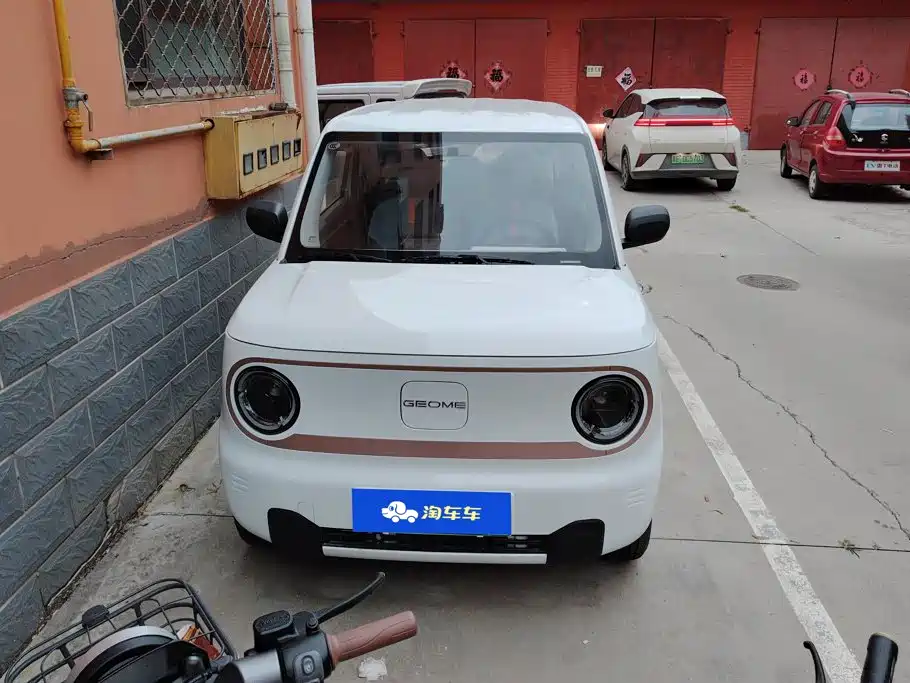 Фото 2 - Geely Galaxy Panda