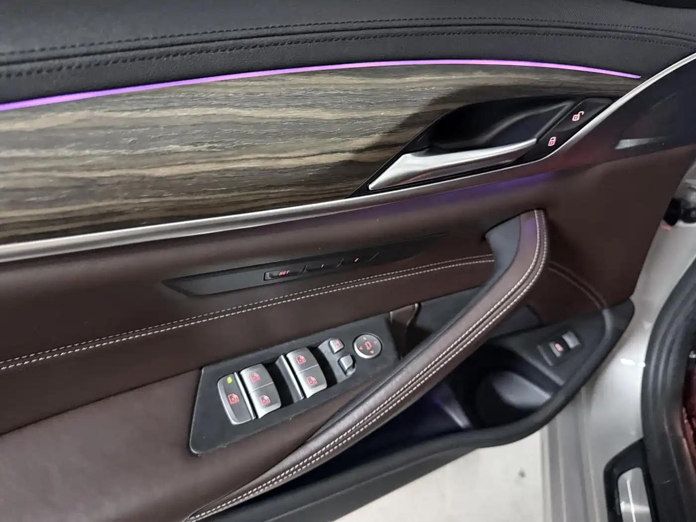 BMW 5 Series 2019 530Li Leading Luxury Package фото 10