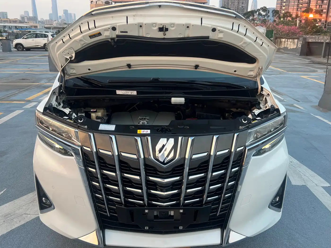 Toyota Alphard 2018 Facelift 3.5L Premium Edition фото 18