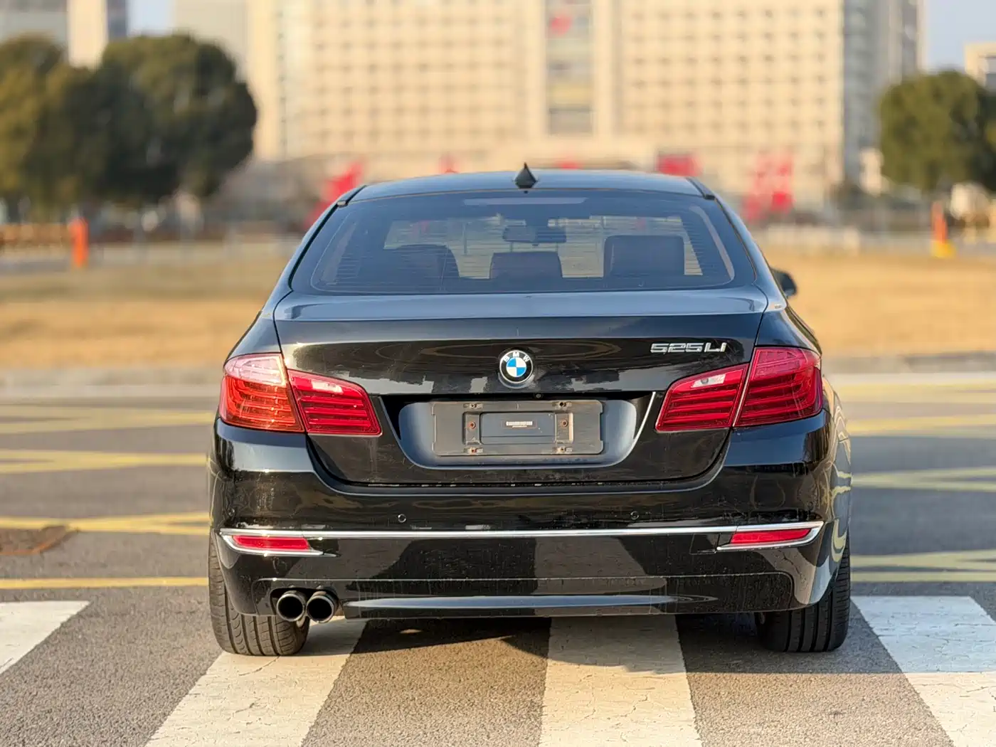 BMW 5 Series 2014 525Li Luxury Design Package фото 6