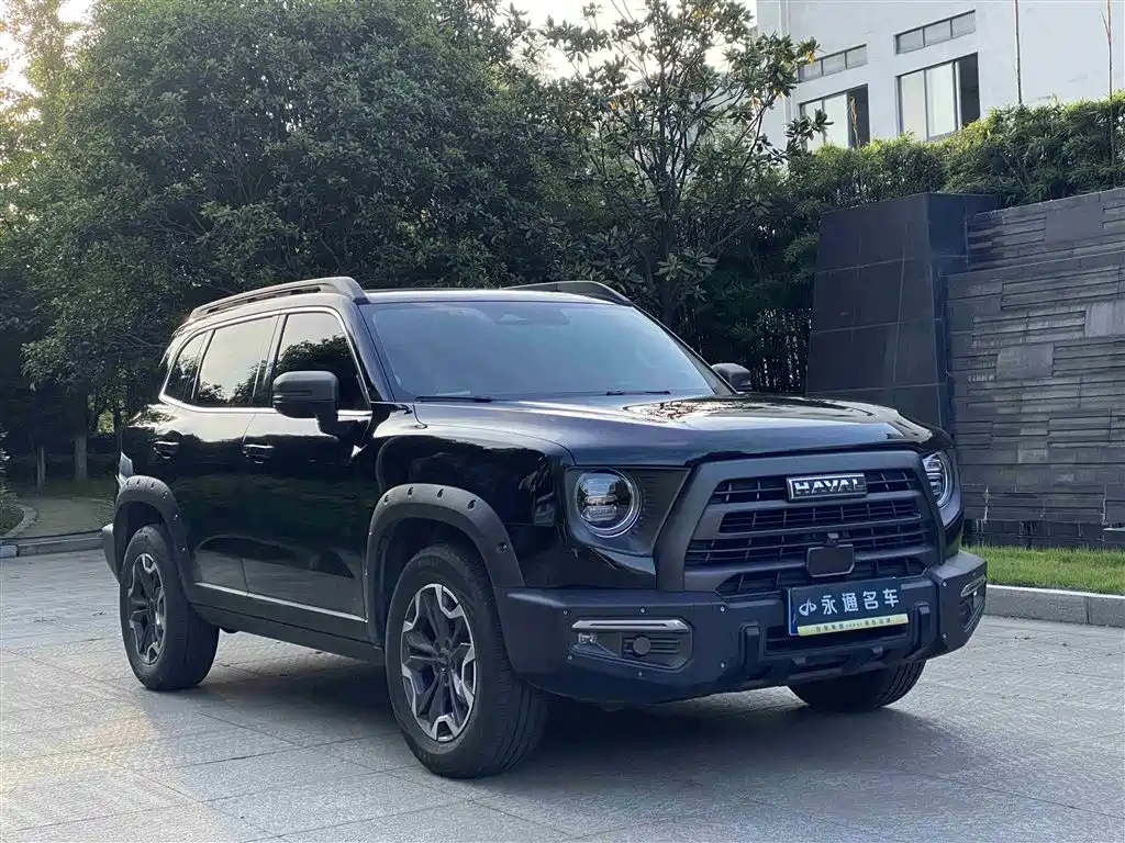 Haval Big Dog 2024 2.0T DCT Chinese Rural Dog Edition фото 3