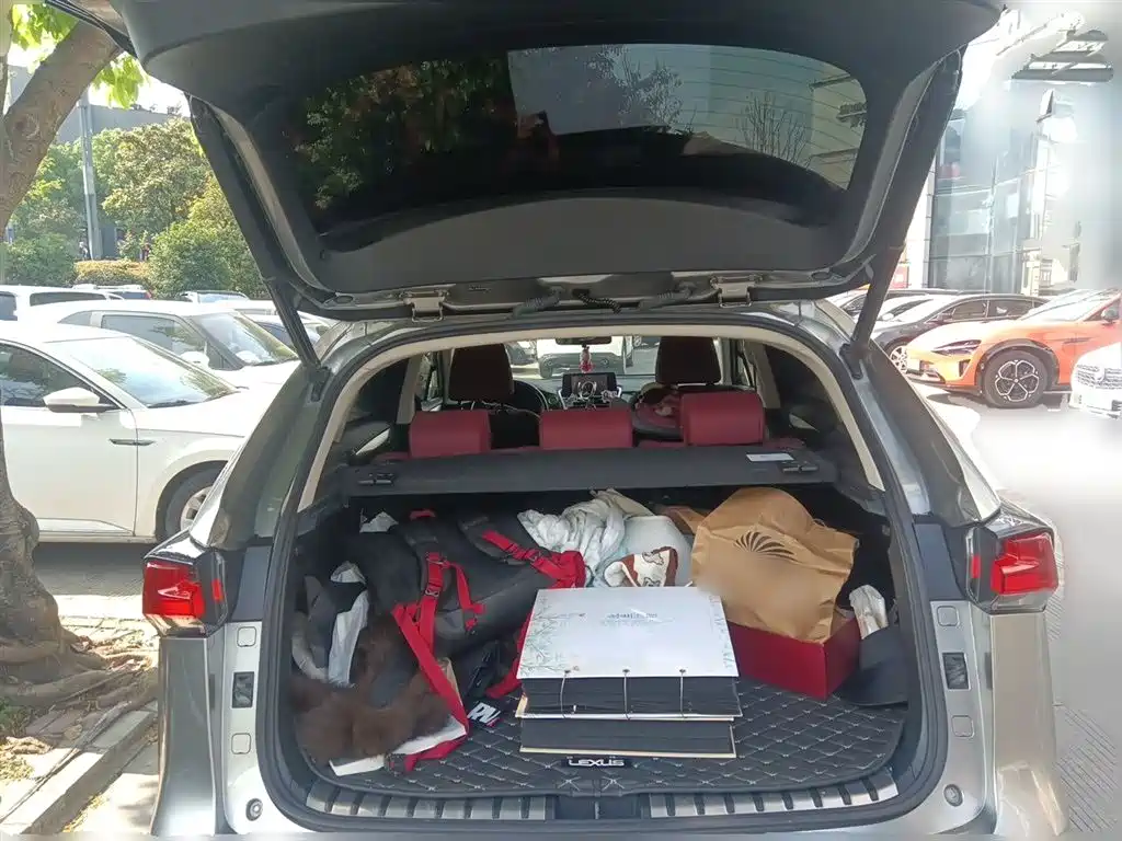 LEXUS NX