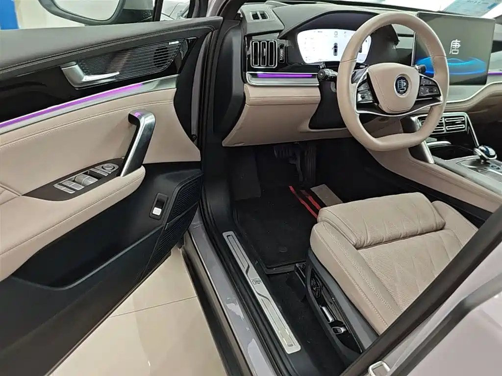 BYD Tang New Energy 2025 Smart Driving Edition DM-i 115KM Flagship фото 16