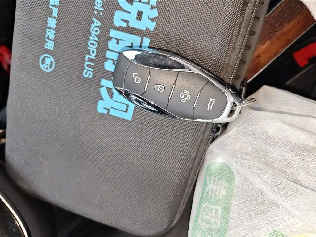 Hongqi HQ9 2023 2.0T Smart Connect Flag Enjoy Edition фото 9