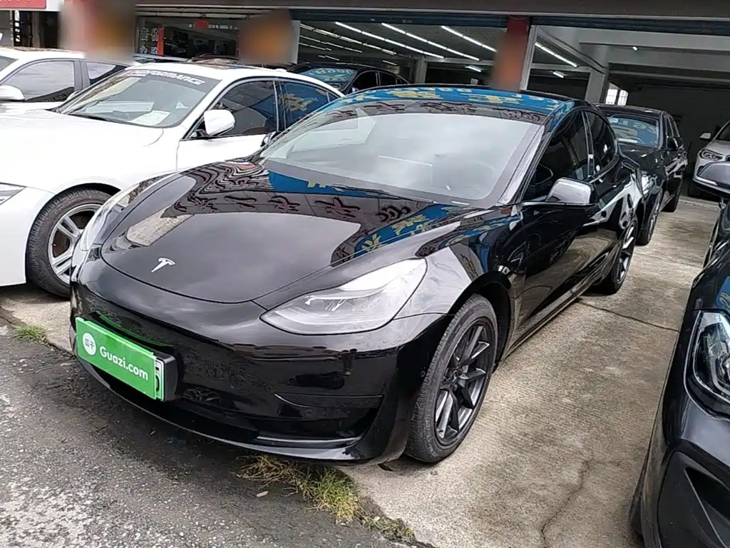 Tesla Model 3 2021 Standard Range Rear-Wheel Drive Upgrade 3D6
