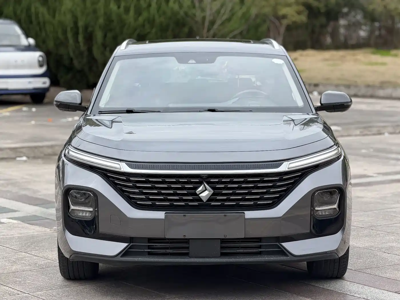 BAOJUN VALLI