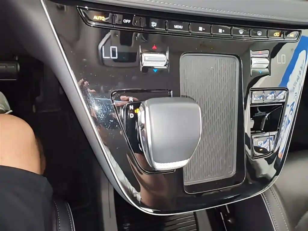 Hongqi HQ9 PHEV 2024 Model 2.0T AWD Luxury Edition фото 14