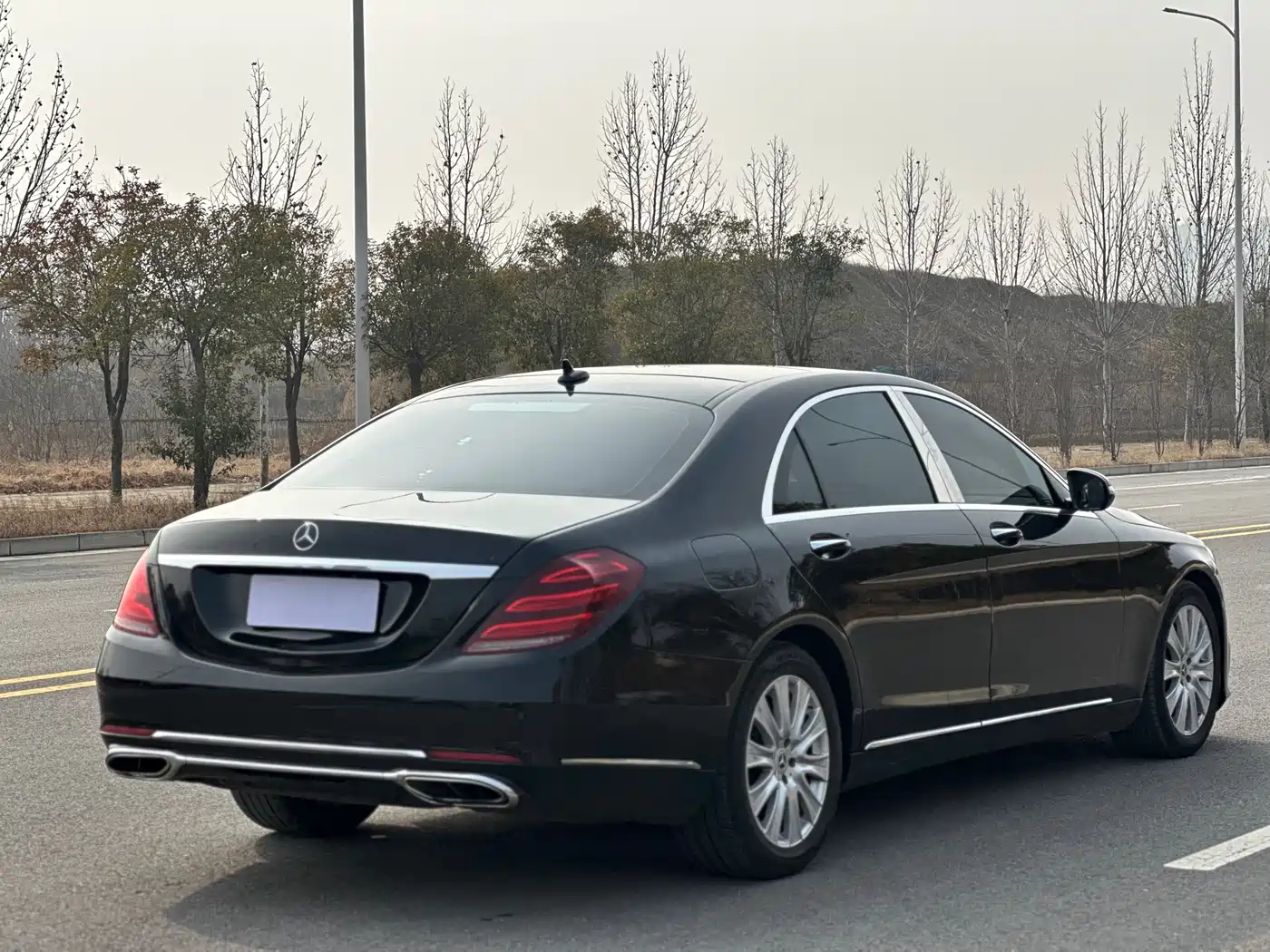 Mercedes-Benz S-Class 2014 S 320 L Business фото 9