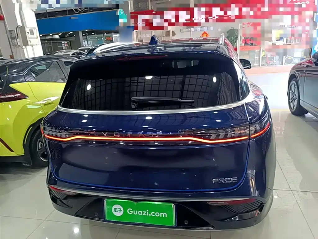 Voyah Auto VOYAH FREE 2021 AWD Standard Range Extender Exclusive Luxury Package фото 6