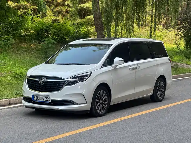 Buick GL8 ES Люкс, 653T, Люкс