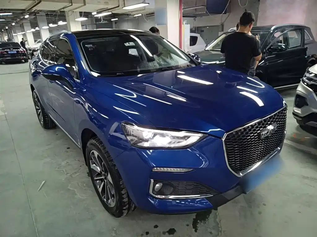 Haval F5 2019 National Trend Edition 1.5T iTrend China VI фото 4
