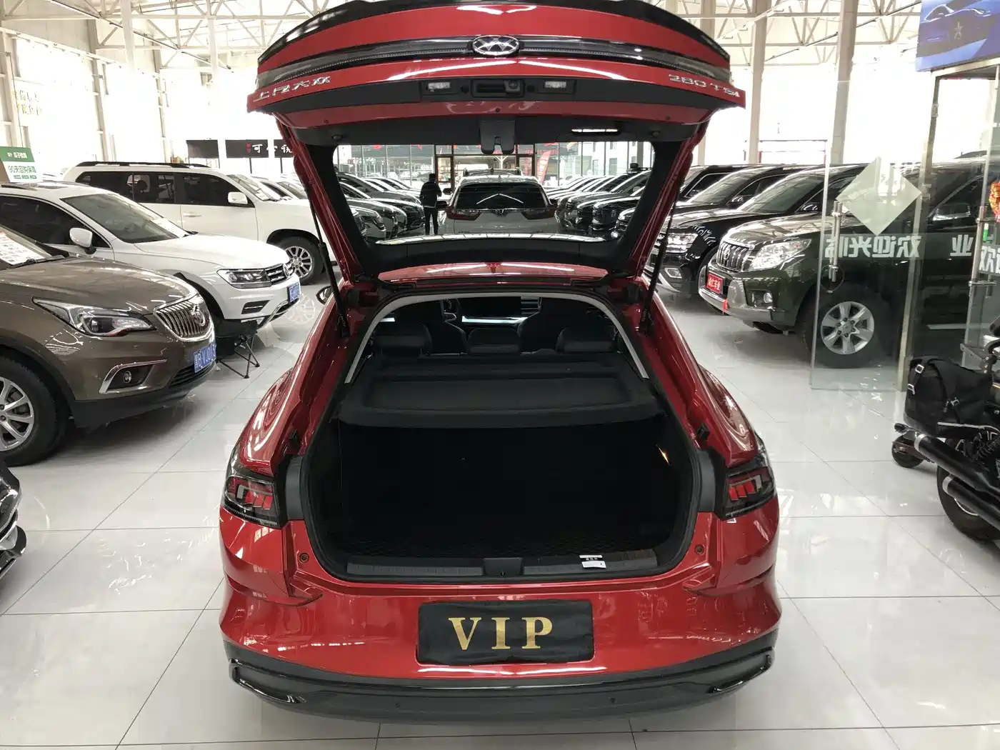 VOLKSWAGEN LINGDU