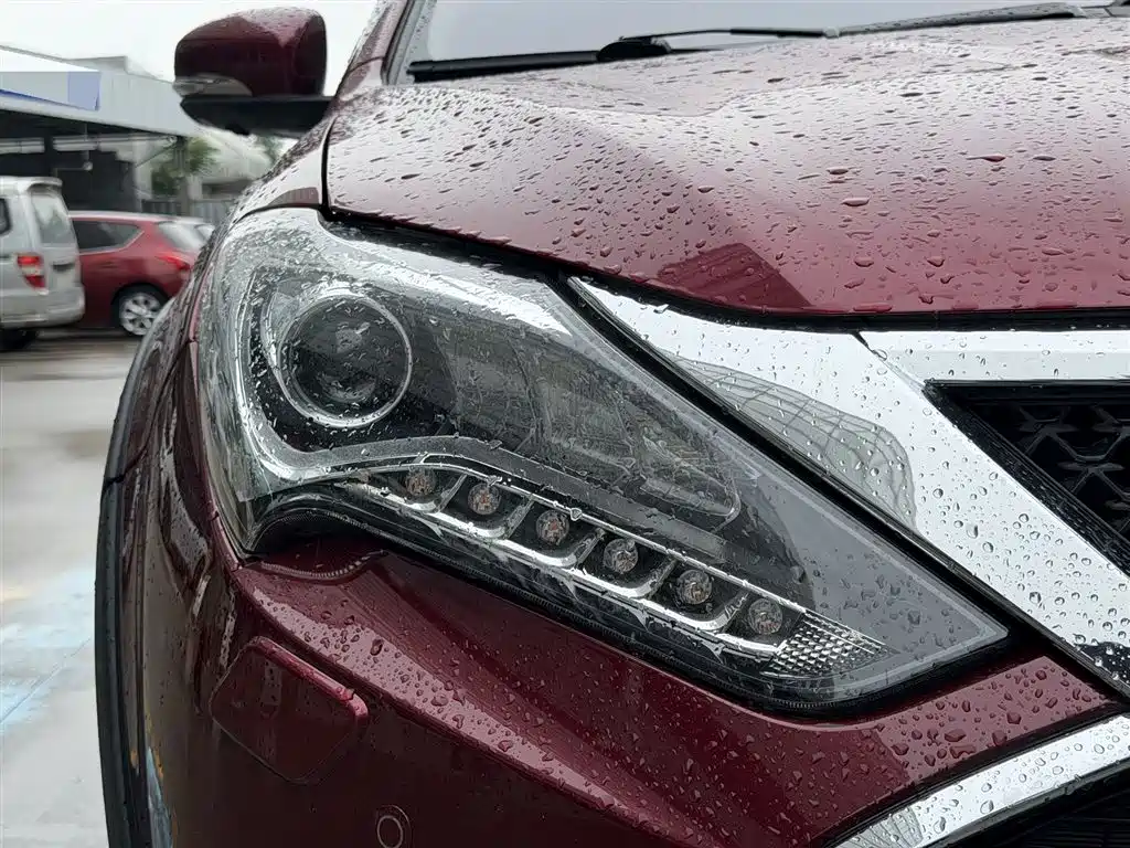 BYD Tang New Energy 2015 2.0T 4WD Flagship фото 3