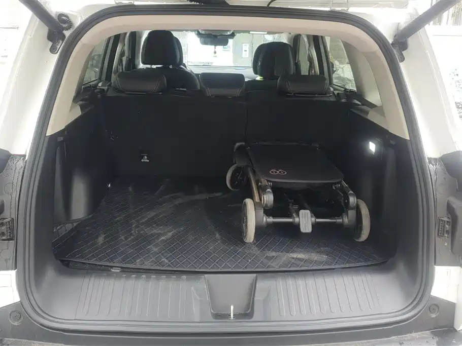 Haval Big Dog 2024 1.5T DCT Border Collie Edition фото 4
