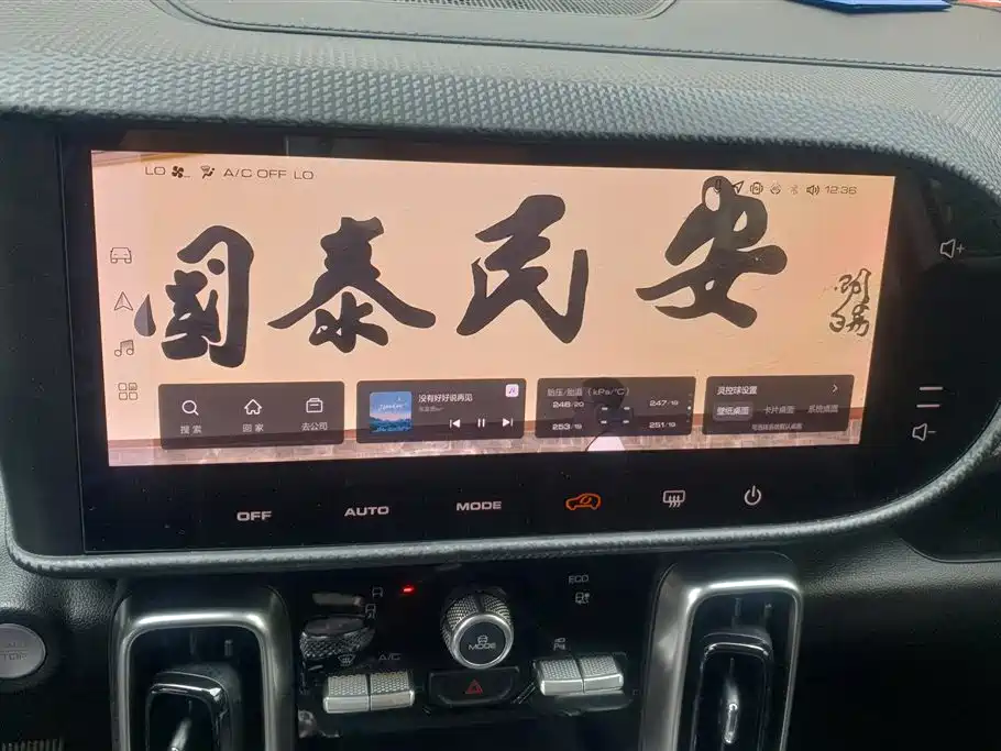 Haval Big Dog 2024 1.5T DCT Border Collie Edition фото 13