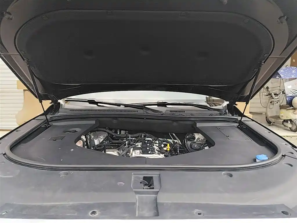 Hongqi HS7 2022 2.0T DCT 2WD ZhiLian QiXiang Edition 7-seater фото 20