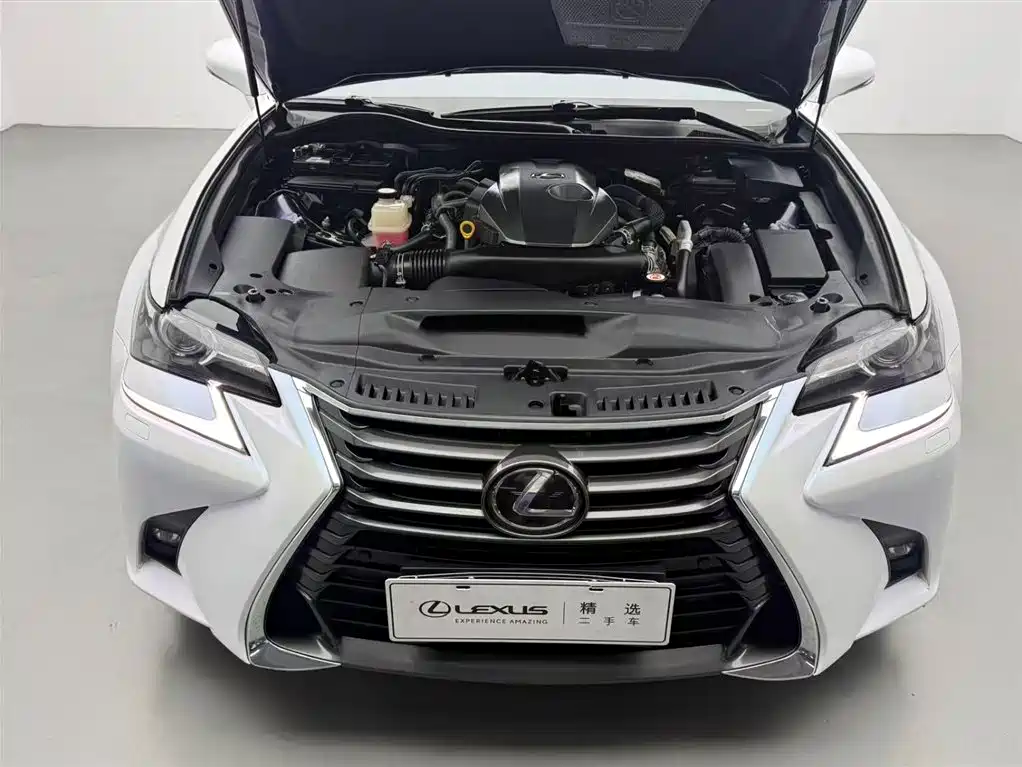 Lexus GS 2017 300 Leading фото 3