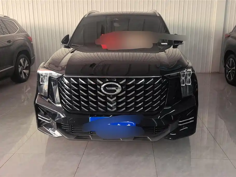 GAC Trumpchi Trumpchi GS8 2024 Navigator Series 2.0TGDI 2WD Luxury Smart Connect Edition фото 2