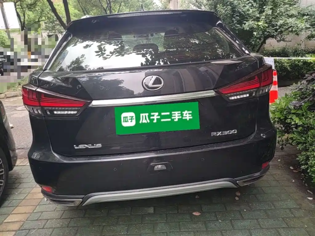 LEXUS RX