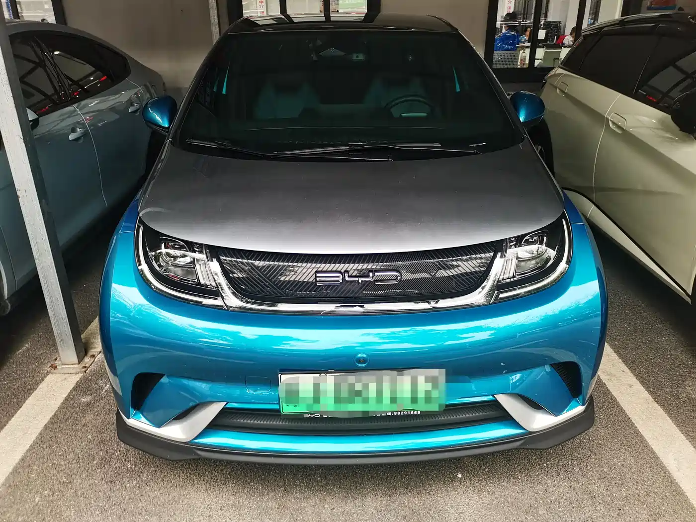 BYD Dolphin 2021 401km Knight Edition фото 2