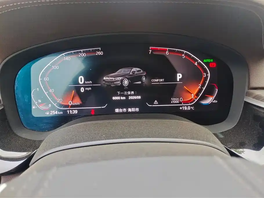 BMW 5 Series 2020 530Li Leading M Sport Package фото 14