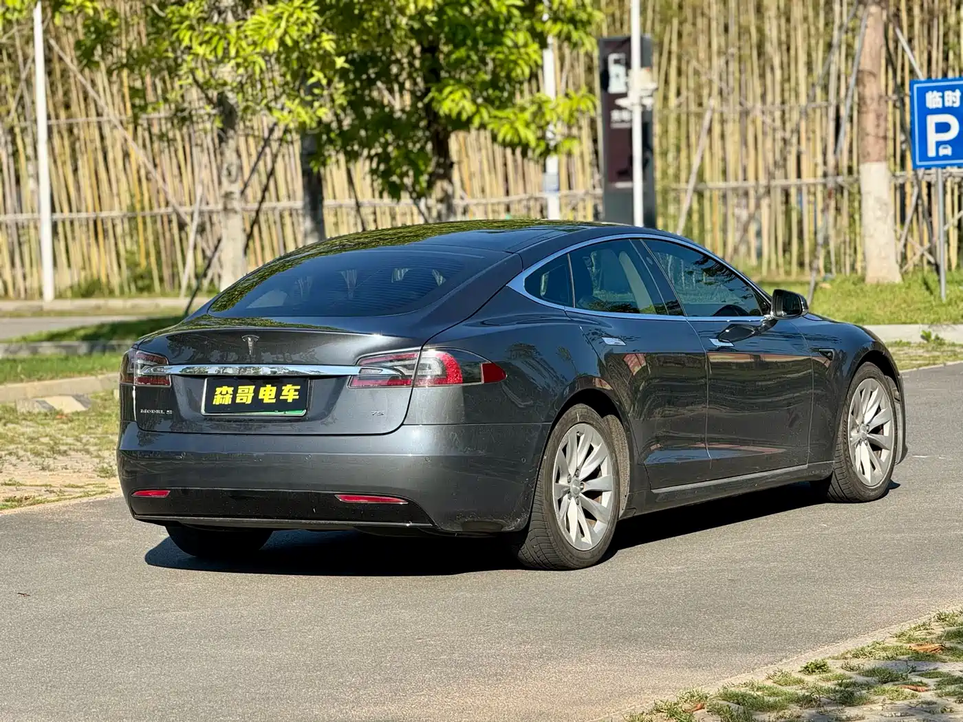 TESLA MODEL S