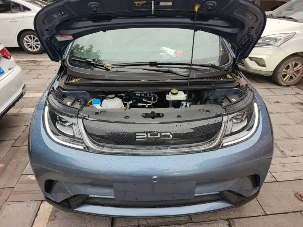 Фото 20 - BYD Dolphin