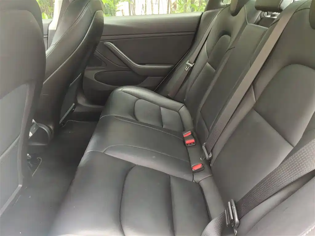 TESLA MODEL 3 (IMPORTED)