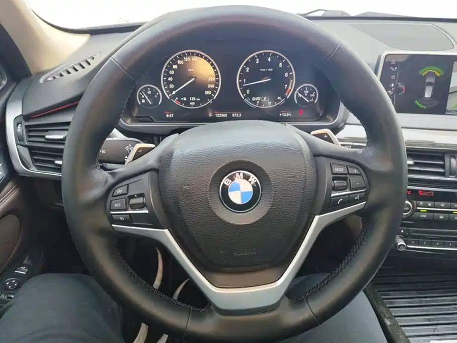 BMW X5 (Import) 2017 xDrive35i Leading Edition фото 15