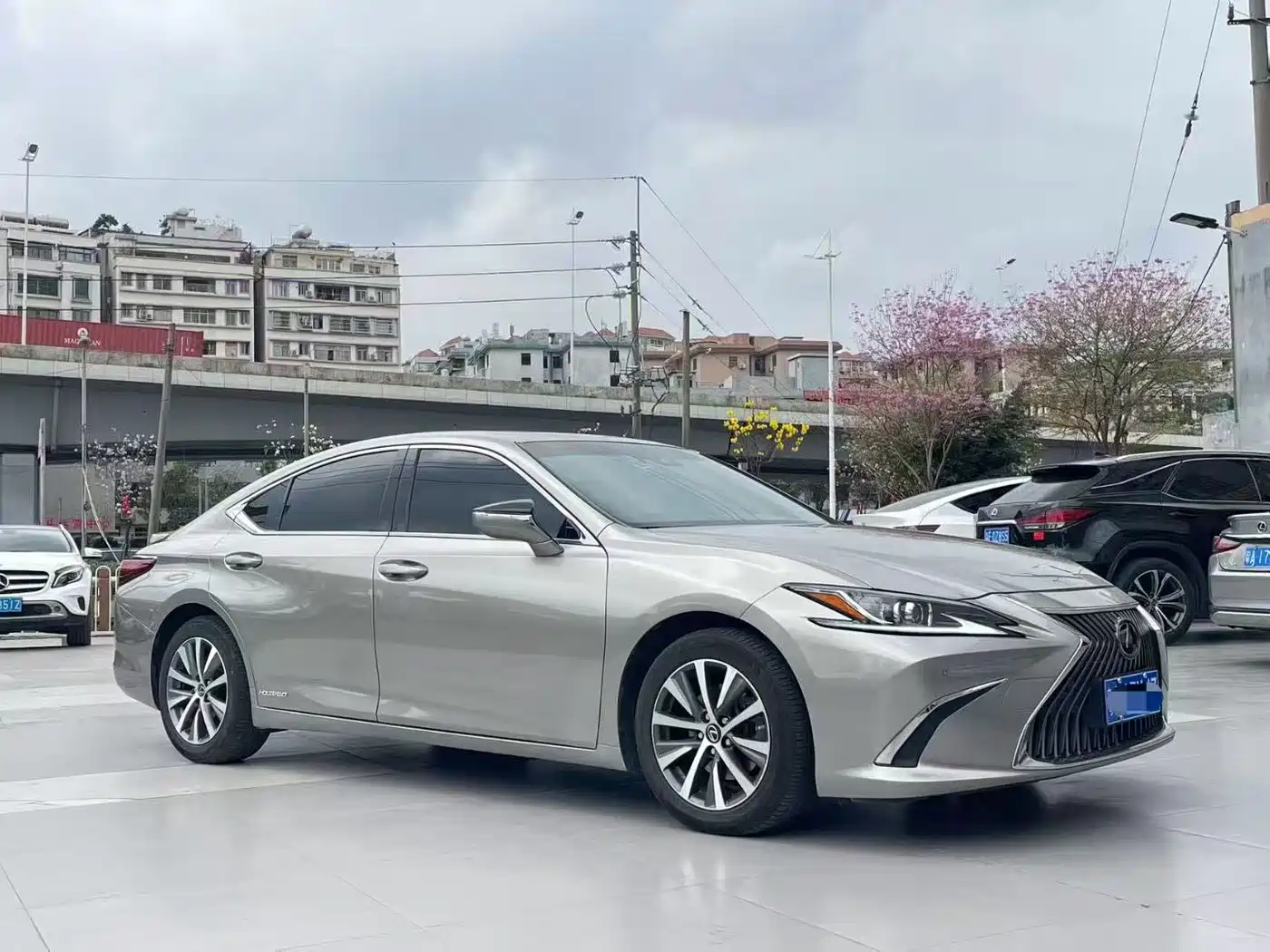 Lexus ES 2018 300h Excellence Edition China VI фото 3