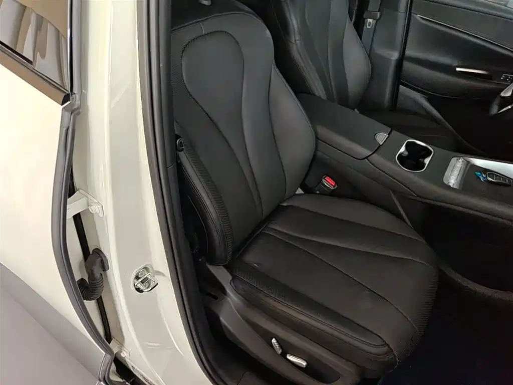 BYD Sealion 06 New Energy 2025 DM-i 170 Pilot Pro Edition фото 25