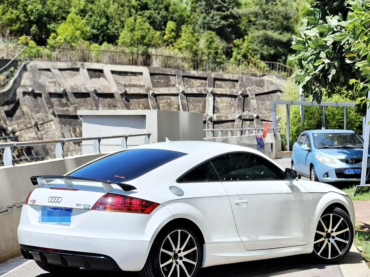 Audi TT 2010 TT 2.0TFSI Collector's Edition фото 10