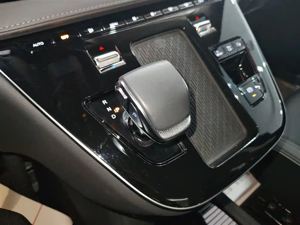 Hongqi HQ9 PHEV 2024 Model 2.0T AWD Luxury Edition фото 10