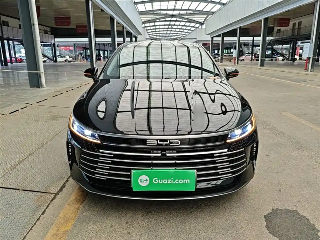 BYD Destroyer 05 2024 Glory Edition DM-i 55KM Luxury фото 3